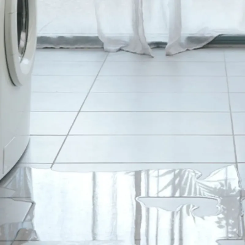 Appliance Leak Cleanup in Holland, OH