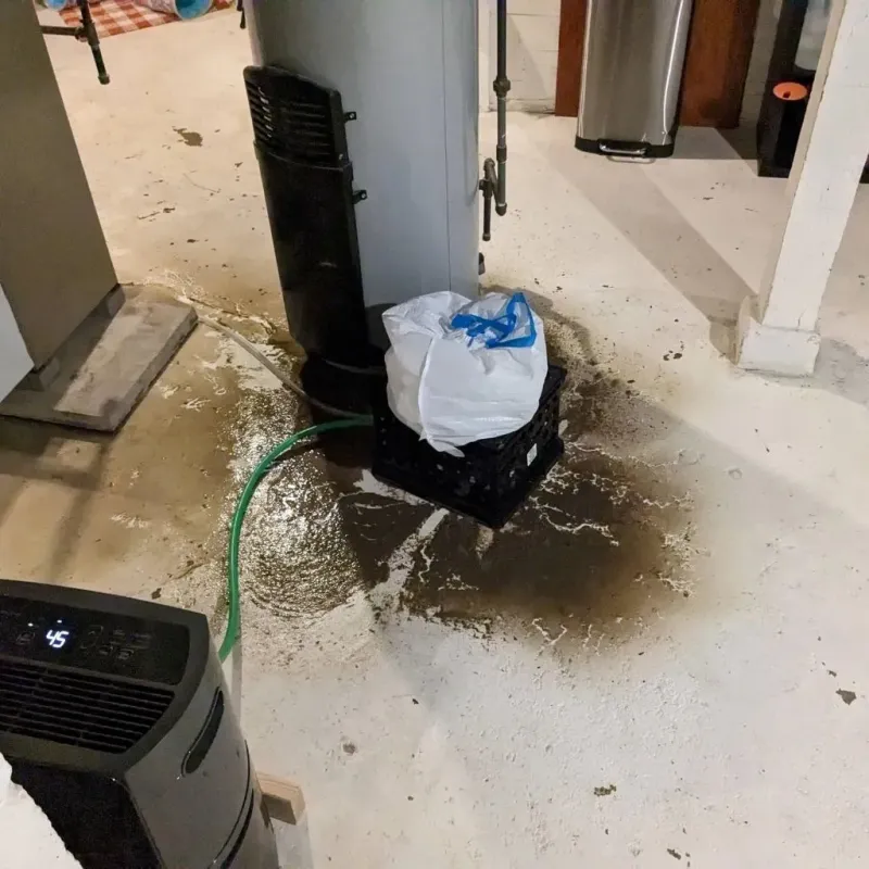 Sewage Backup Cleanup Service in Holland, OH